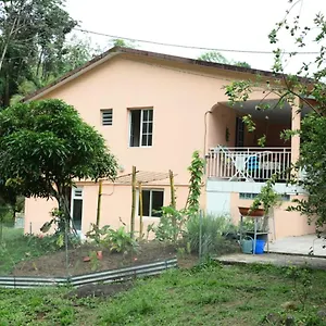 https://maison-lavanne.comcaribbean.com